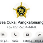 10016569673872855108668576325